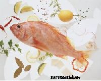 Яблочный уксус для похудания