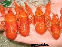 Диета грыжа диафрагмы