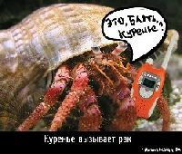 Молокочайная диета отзывы